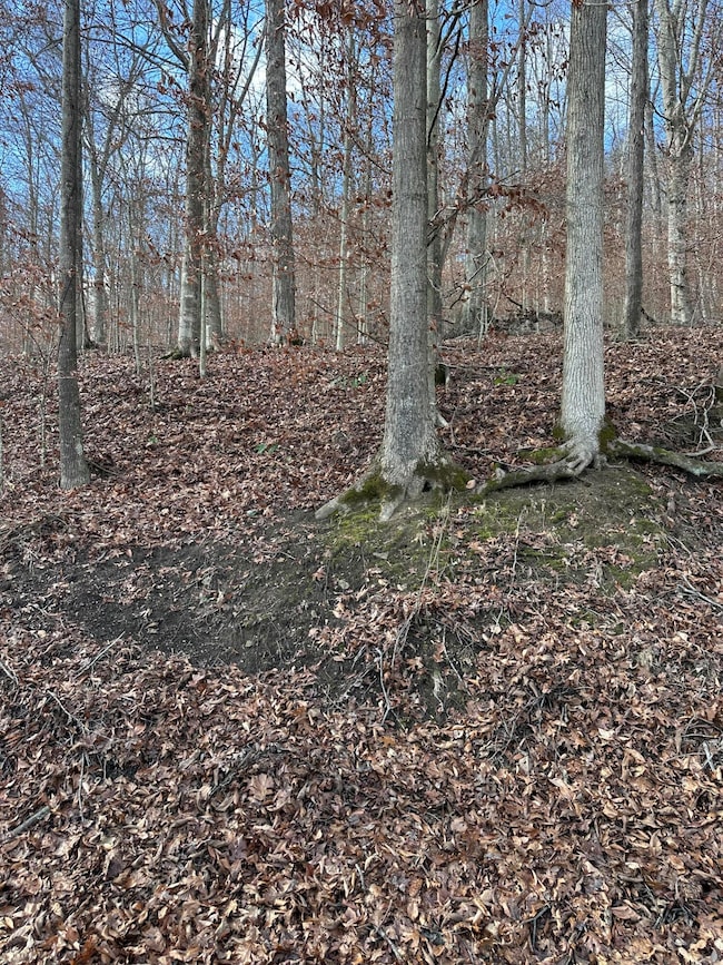 TBD N Fork Rd, Patsey, KY 40380 - photo 3