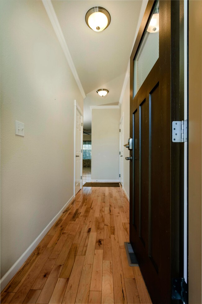 Birds Eye Maple Hardwood