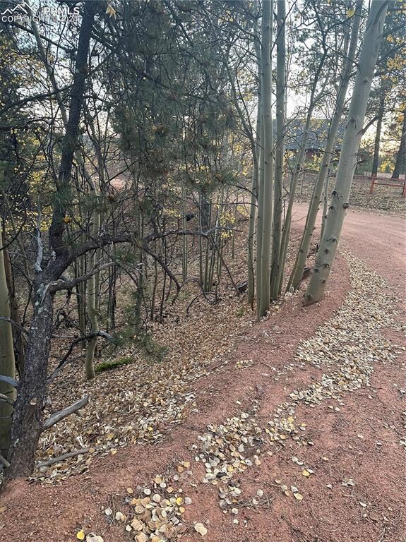 418 Valley Rd, Divide, CO 80814 - photo 6