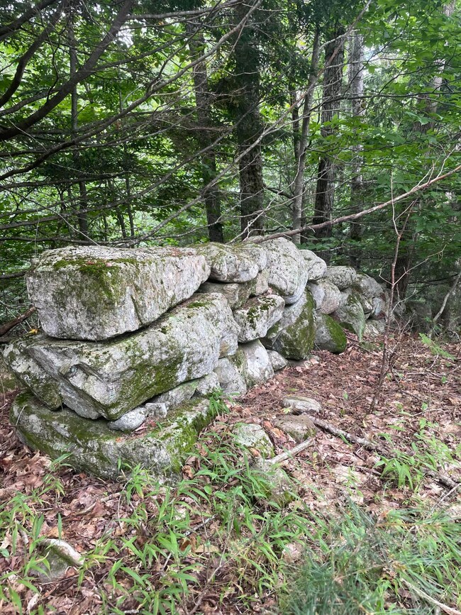 IMG-6239