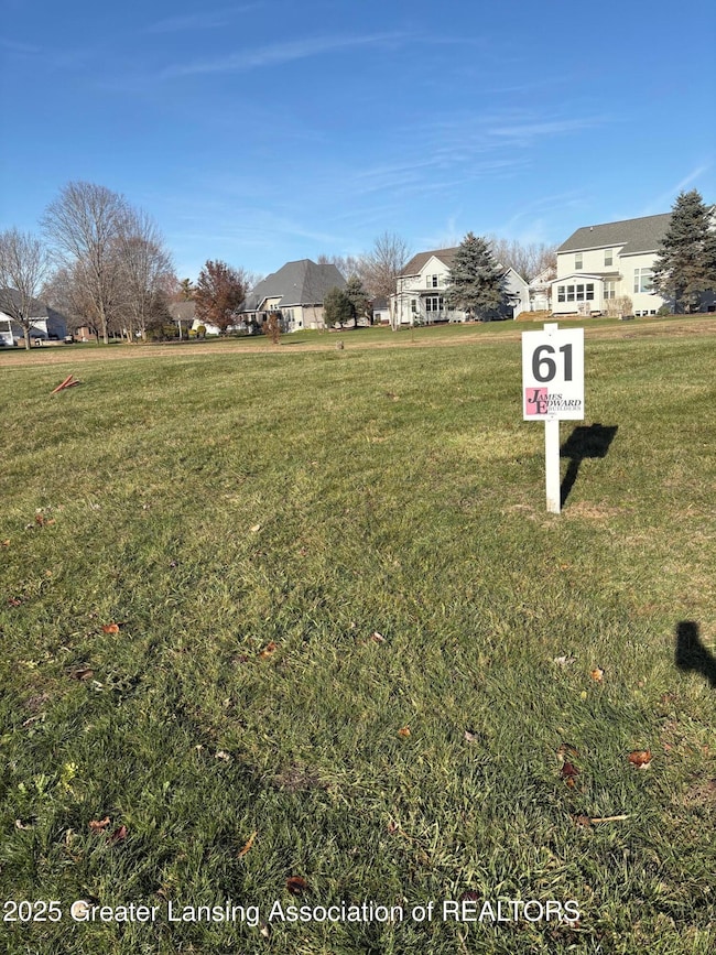 Lot 61 Doe Pass, Lansing, MI 48917 - photo 4