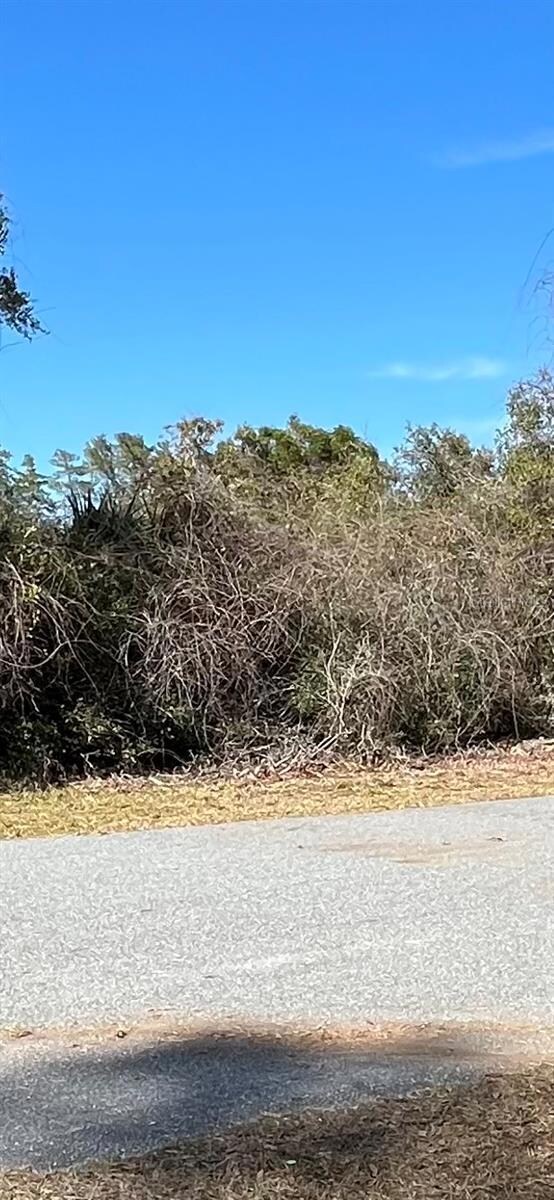 TBA SW 161 Loop, Ocala, FL 34473 - photo 2