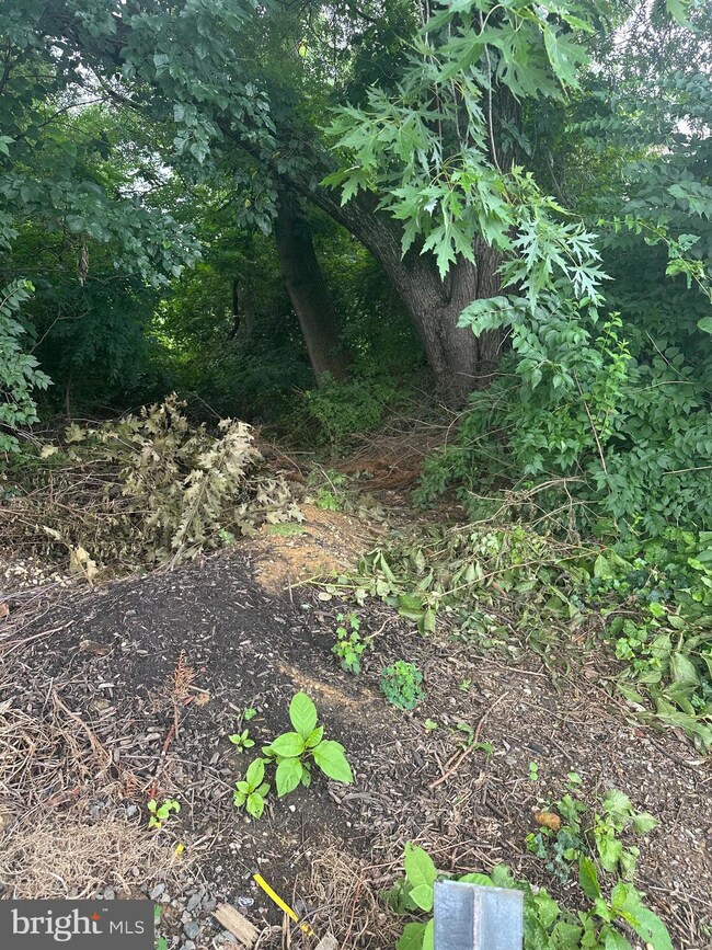 8817 R Danbury St, Philadelphia, PA 19152 - photo 6