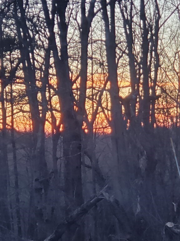 0 E County Rd unit 72845808, Rutland, MA 01543 - photo 4