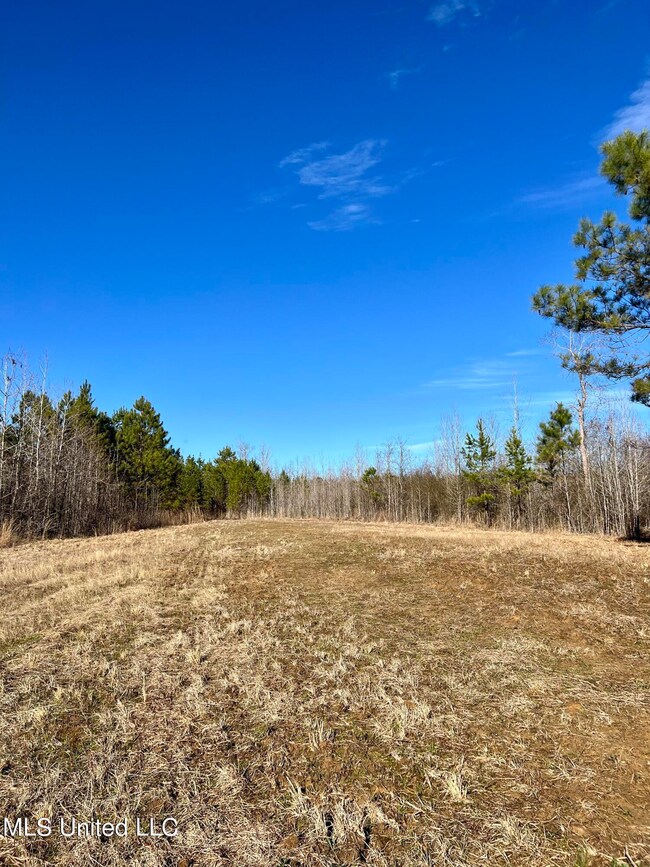 Photo Feb 09 2023, 3 01 04 PM