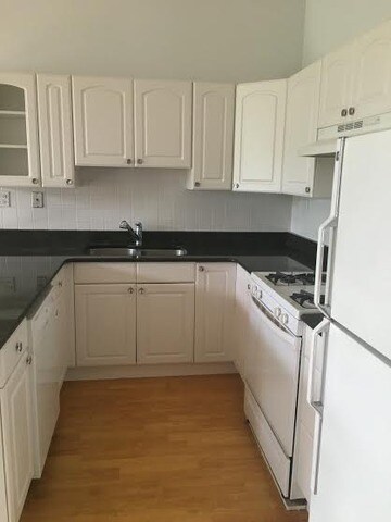 724 S Oakley Blvd unit 3, Chicago, IL 60612 - photo 5