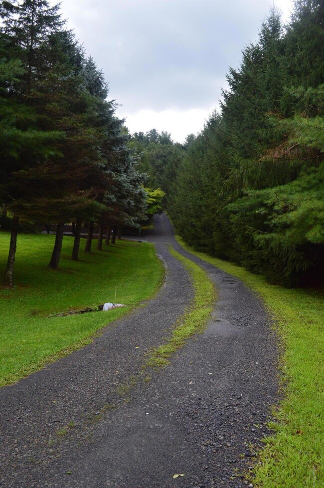 127 Brookside Ct, Stroudsburg, PA 18360 - photo 4