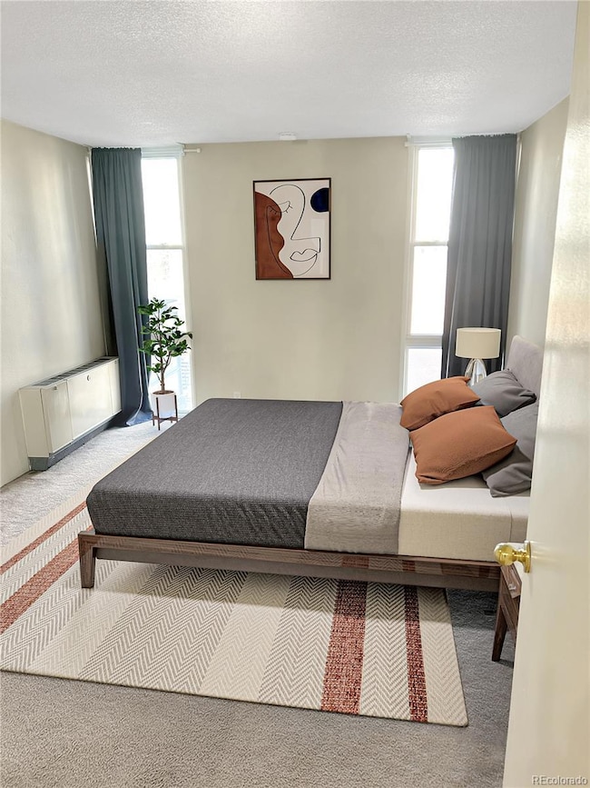 Harvard Park Condos unit 401, Denver, CO 80210 - photo 7