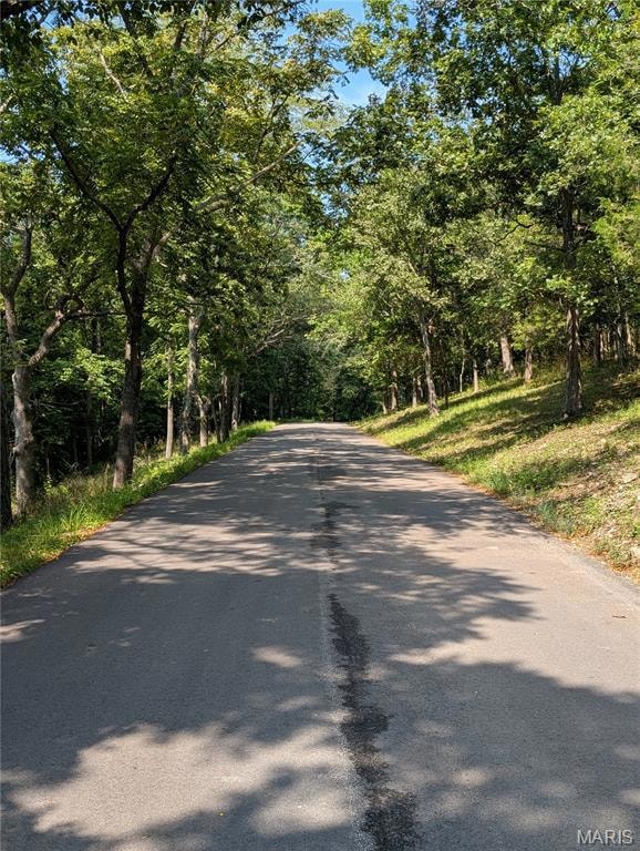 16501 Meadow Hawk Dr, Glencoe, MO 63038 - photo 2