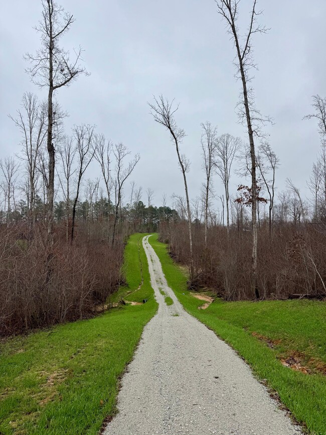 7900 Brooksie Thompson Rd, Bath Springs, TN 38311 - photo 5