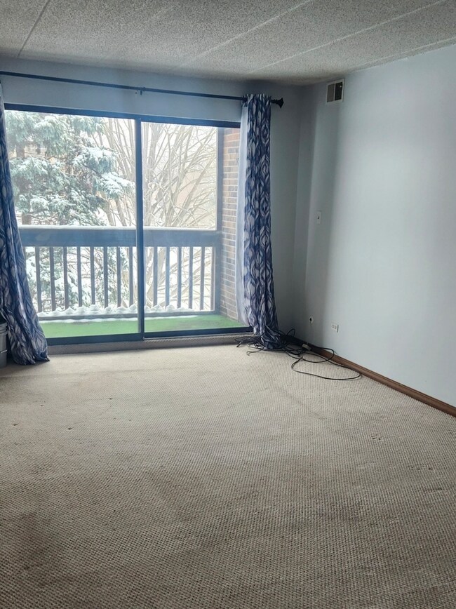 10355 Menard Ave unit 210, Oak Lawn, IL 60453 - photo 2