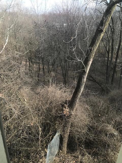 Scioto River View