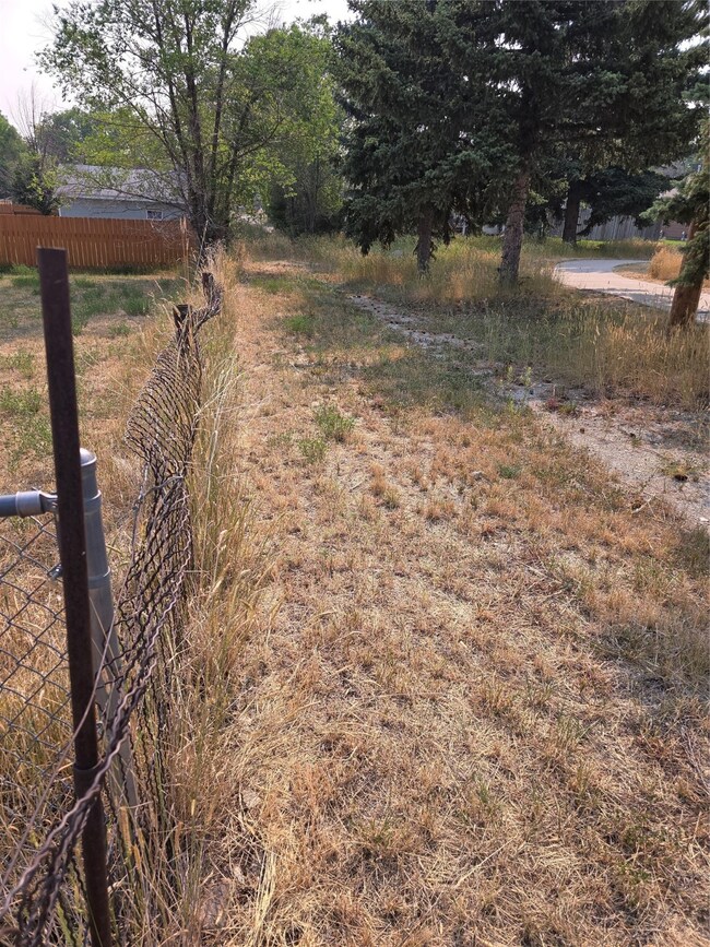 looking East down the Alley