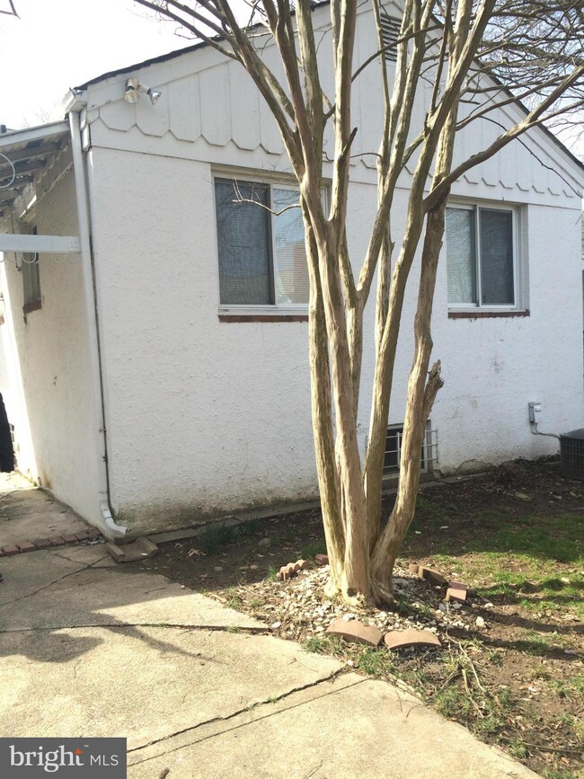 7905 25th Ave, Adelphi, MD 20783 - photo 7