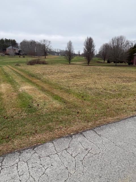 Lot 168 Crooked Creek Dr, London, KY 40744 - photo 7