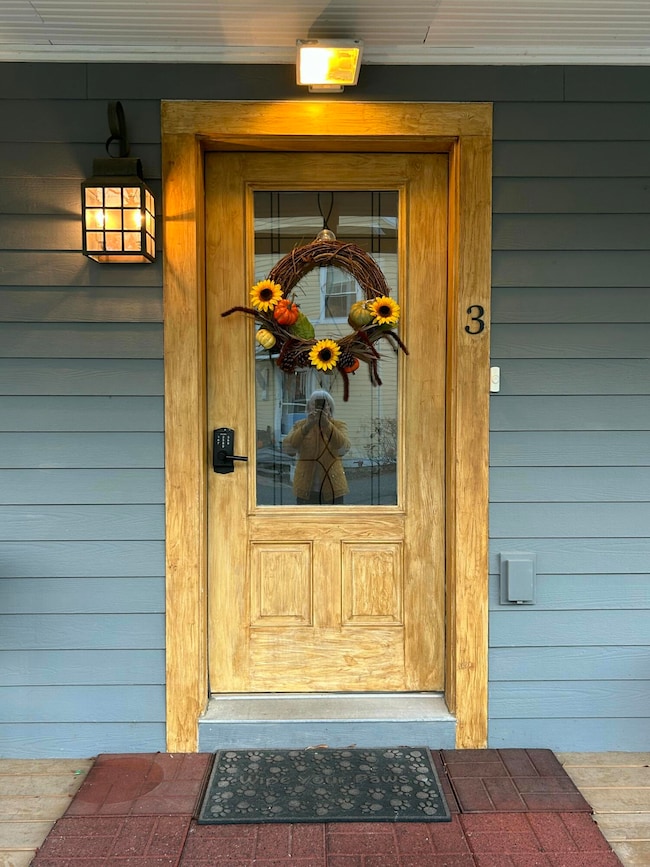 Entrance Door
