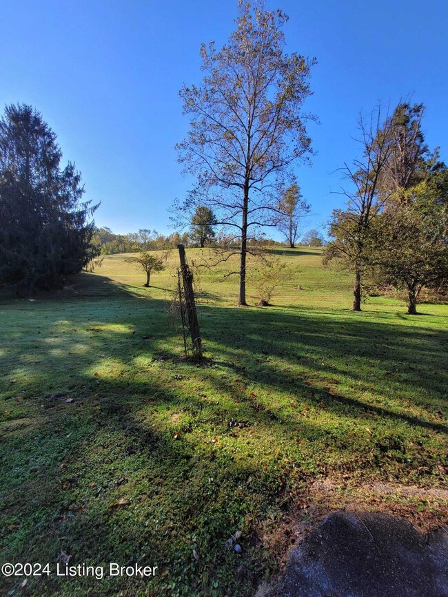 1806 backyard