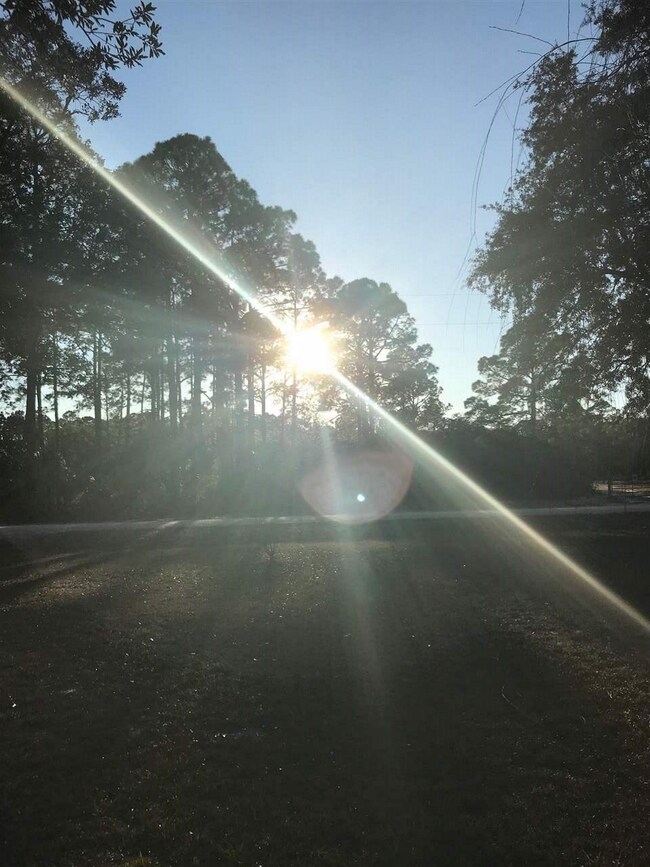 16872 W Royal Oak Dr, Perry, FL 32348 - photo 3