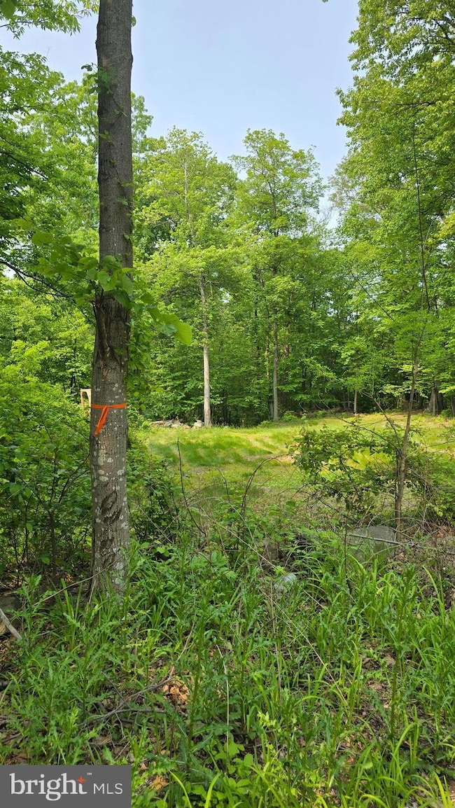 0 Ritchie Rd, Highfield-Cascade, MD 21719 - photo 6