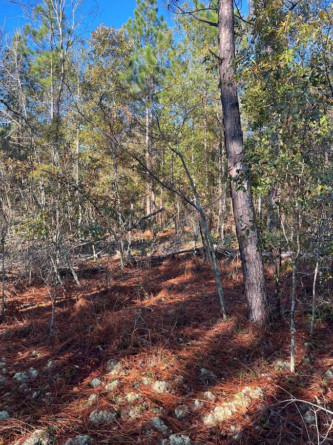 Bhl 1 Boise Cascade Rd, Bethune, SC 29009 - photo 2