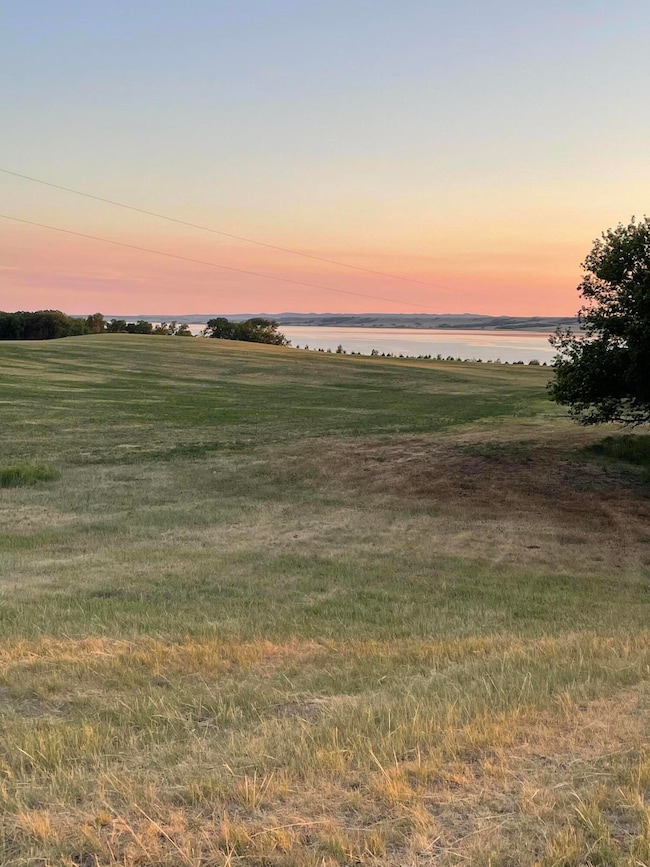 Lot View