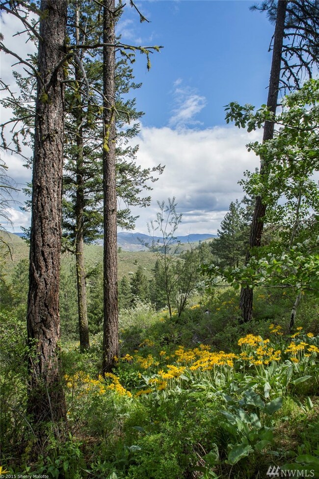 11 Whitebark Ln, Twisp, WA 98856 - photo 7