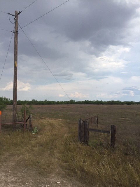 10850 Paisano Ln unit 1B, San Angelo, TX 76904 - photo 2