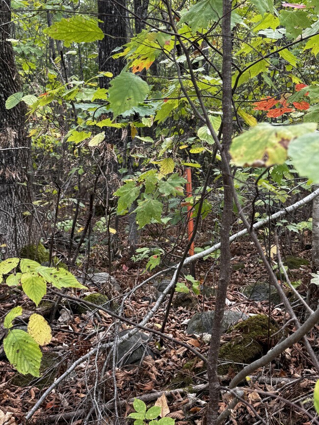 P/O M11 L45a Pease Hill Rd, Anson, ME 04911 - photo 5