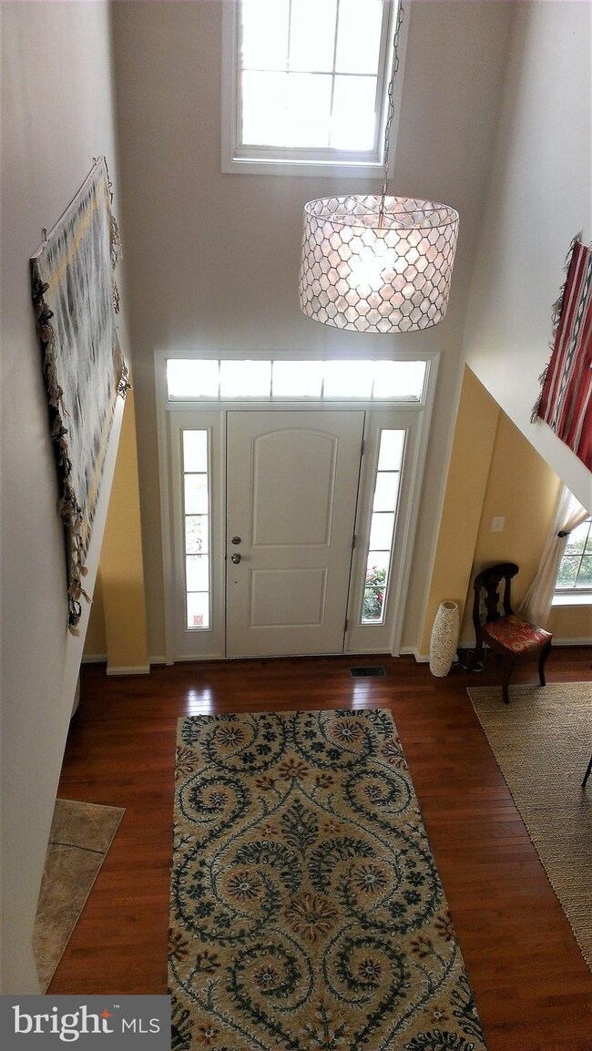 4713 Barnum Ln, Alexandria, VA 22312 - photo 3