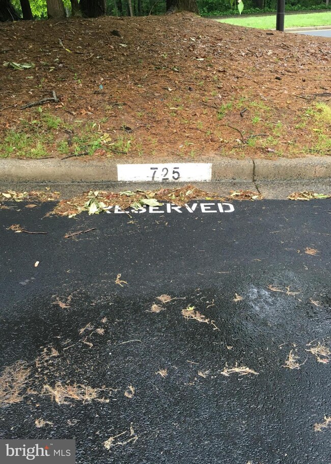 11200 Chestnut Grove Square unit 201, Reston, VA 20190 - photo 2