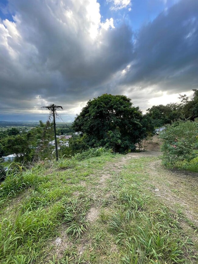 0 unit MFRPR9117727, Anasco, PR 00610 - photo 4