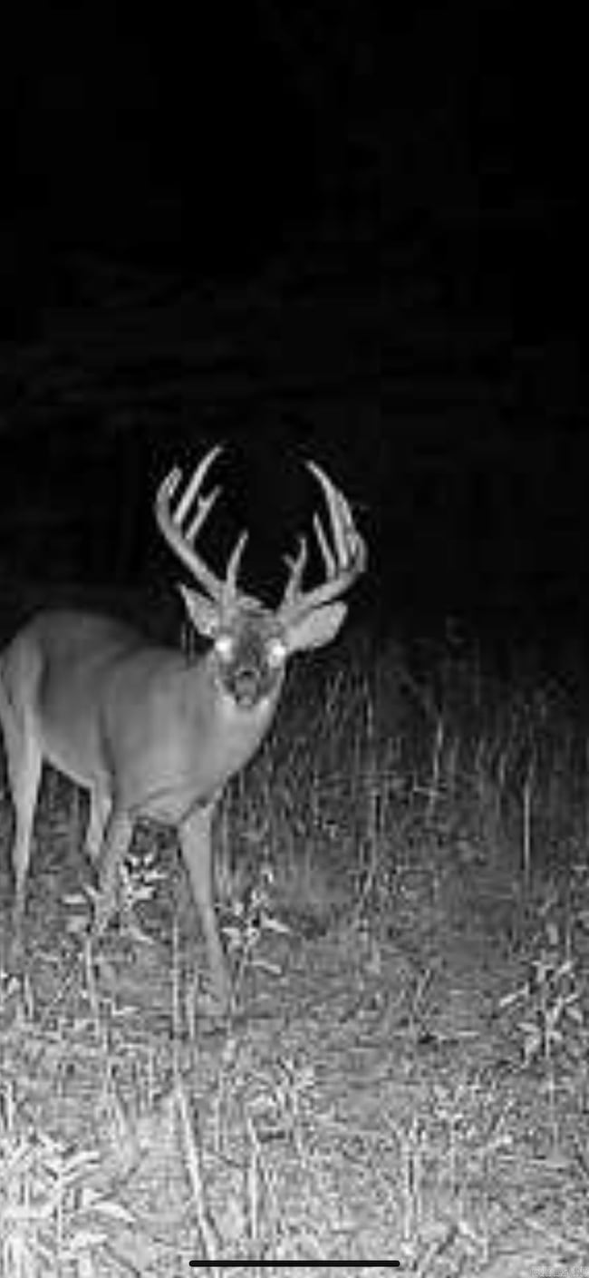 0 Cr 961 Rd unit 25047250, Green Forest, AR 72638 - photo 2