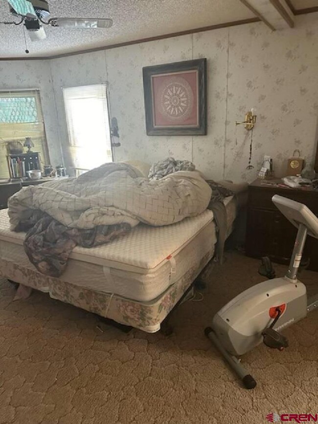 23057 Frost Rd, Cedaredge, CO 81413 - photo 6