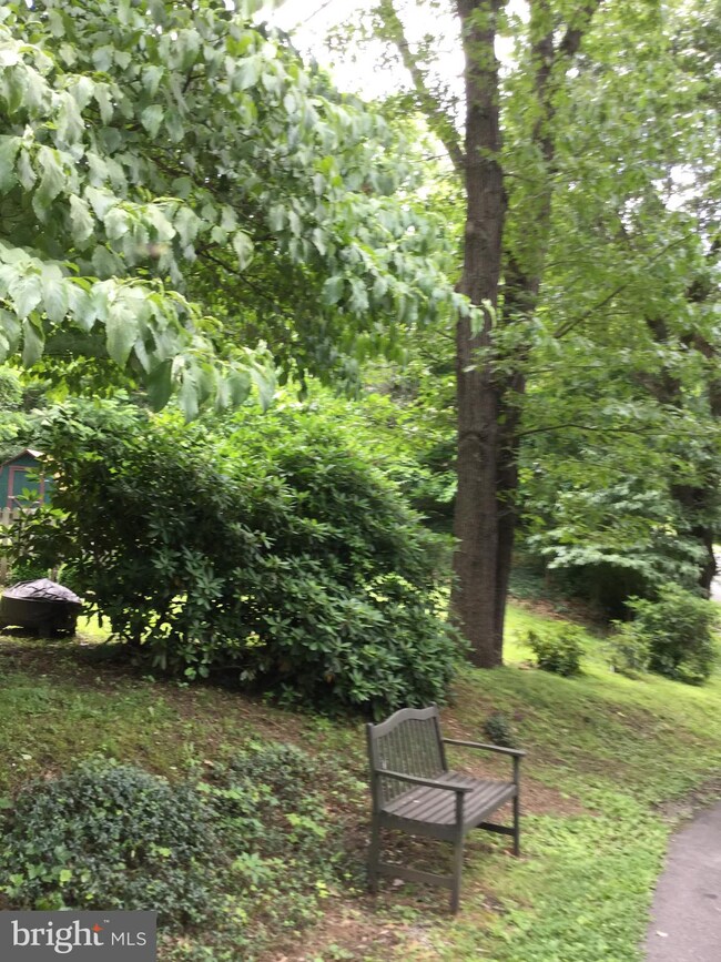 82 Ewing St, Berkeley Springs, WV 25411 - photo 6