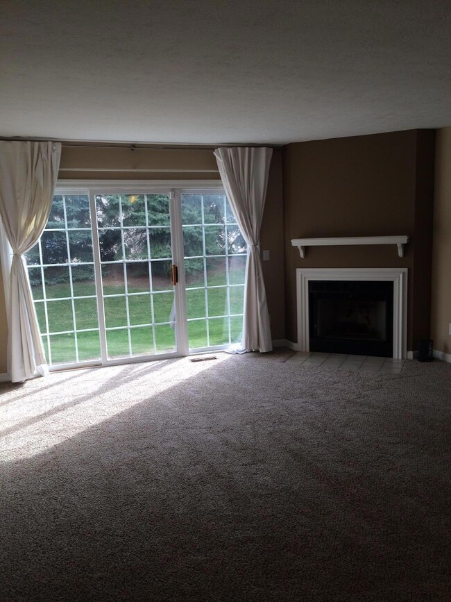 Coleman-great room with fireplace...