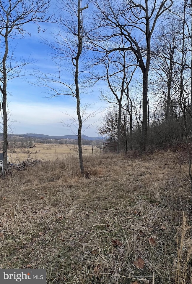 TBD Hummingbird Ln, Capon Bridge, WV 26711 - photo 7
