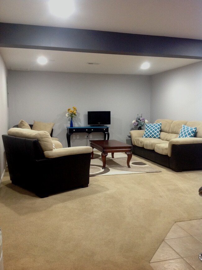 929 Cynthia Ln, Lake In the Hills, IL 60156 - photo 3