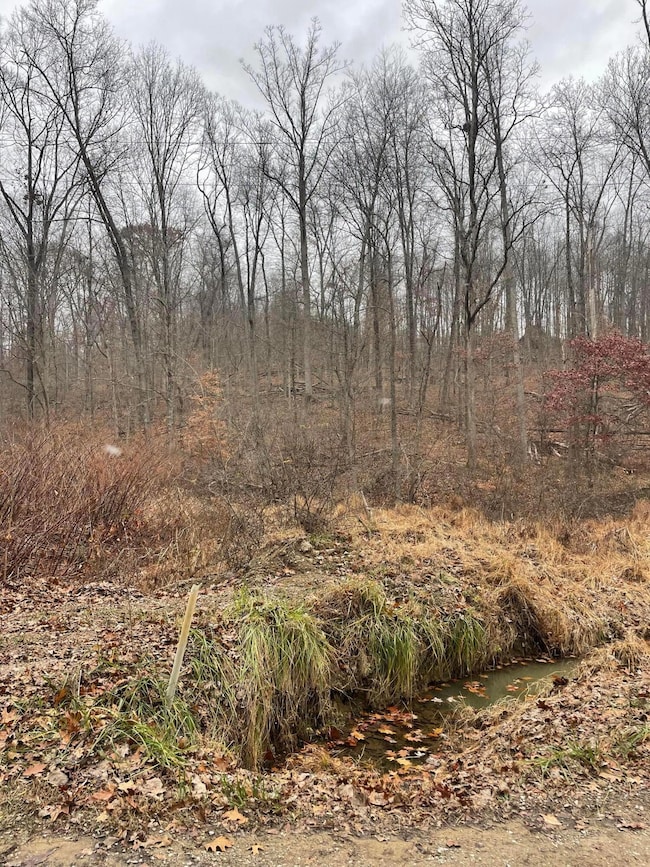 0 McKee Hill Rd unit 225044478, Frazeysburg, OH 43822 - photo 6