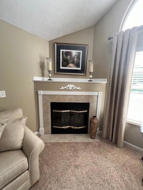 Gas Fireplace