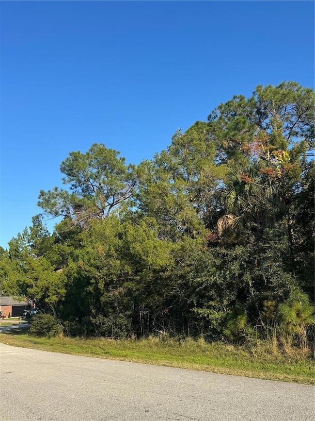 30 Pony Express Dr, Palm Coast, FL 32164 - photo 7