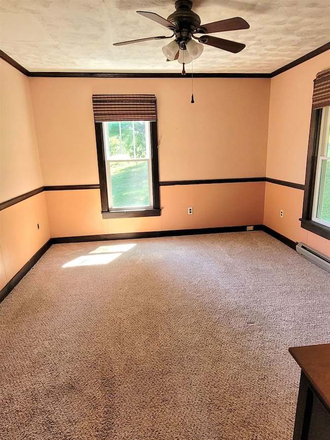 2141 Terry's Mill Rd, Meadows of Dan, VA 24120 - photo 5