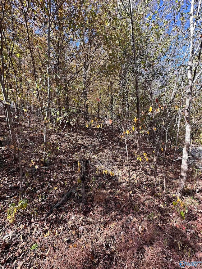 4622 Legacy Preserve Way SE, Brownsboro, AL 35741 - photo 3