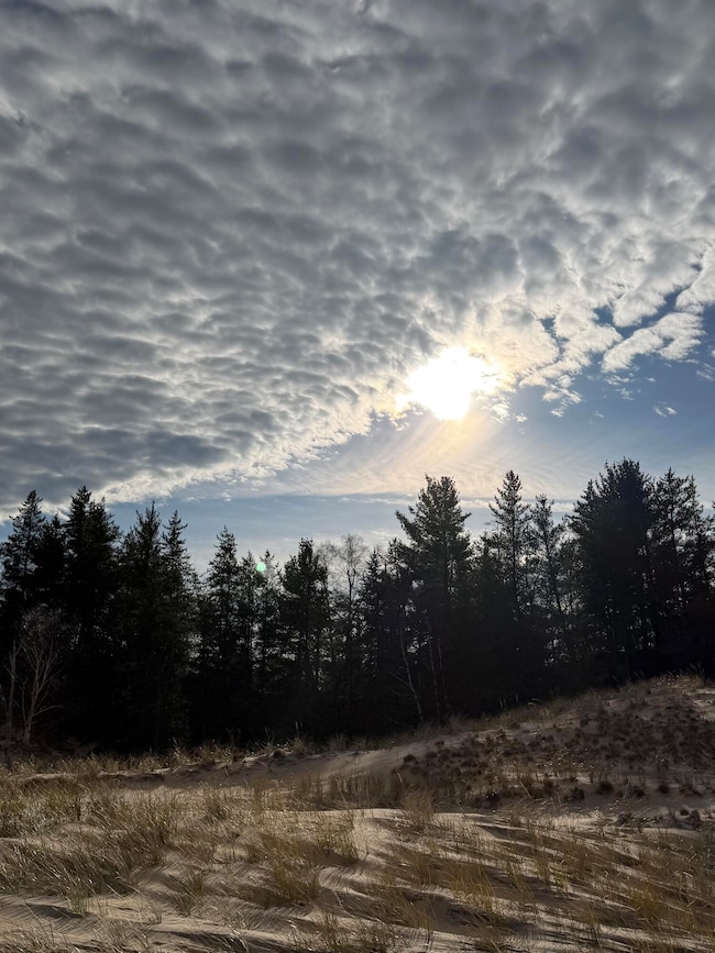 Lot 3 W North Shore Rd, Whitefish Township, MI 49768 - photo 7