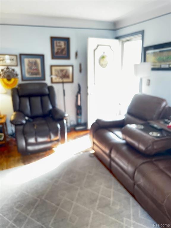 25420 Lehigh St, Dearborn Heights, MI 48125 - photo 3