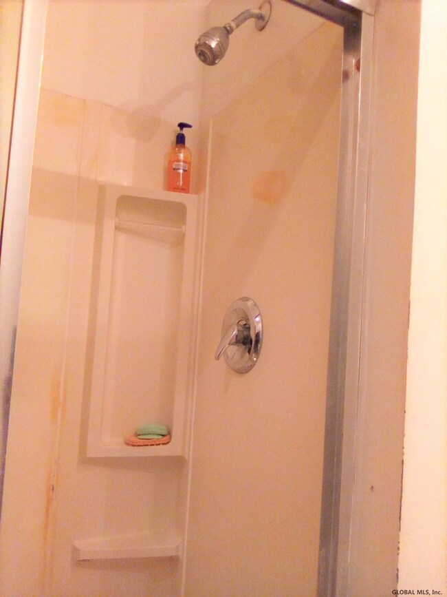 107 N Lake Ave, Albany, NY 12206 - photo 5