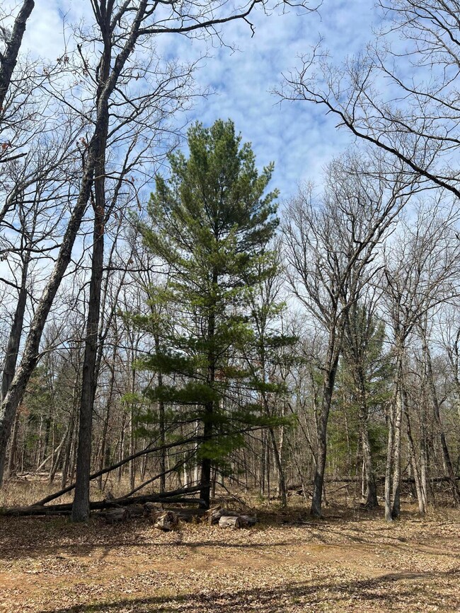 4440 W 8th St, Baldwin, MI 49304 - photo 5