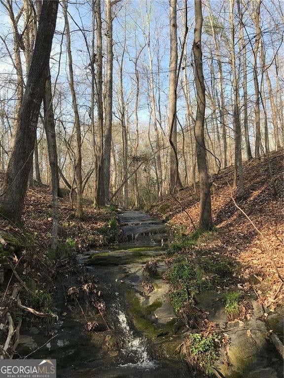 55 Sweetwater Way, Lula, GA 30554 - photo 6