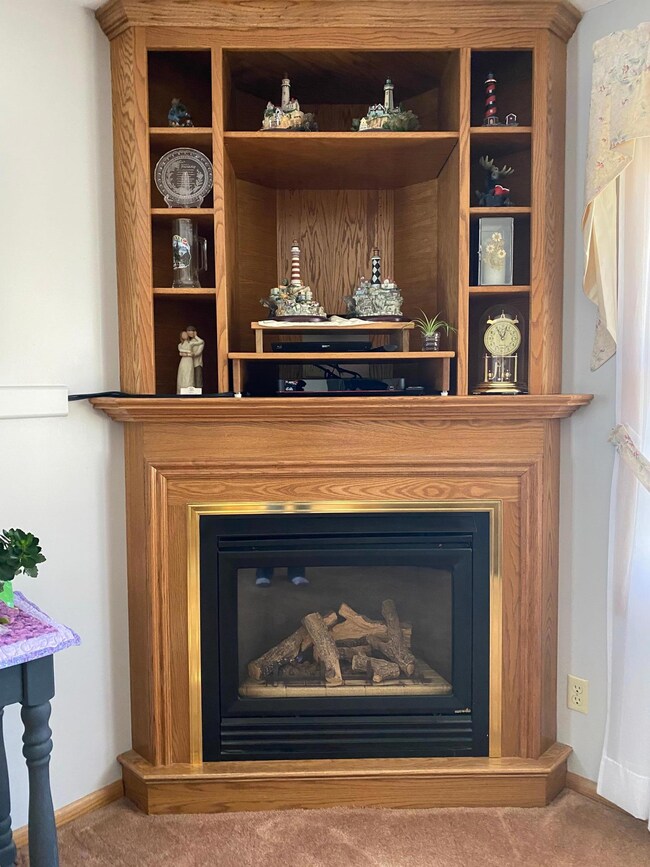 Living room fireplace