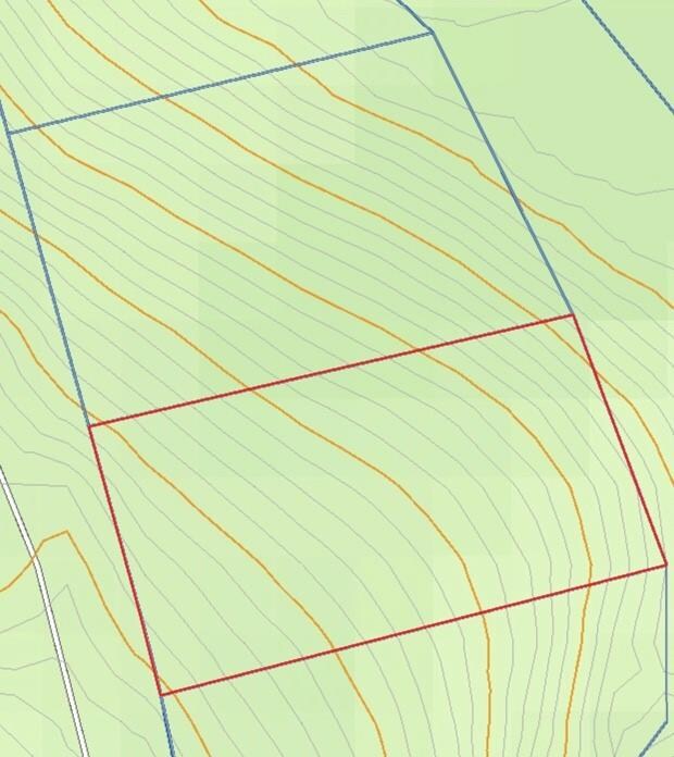 3 London Dr, Bella Vista, AR 72715 - photo 3