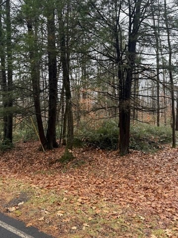 0 Wendell Depot Rd, Wendell, MA 01379 - photo 4